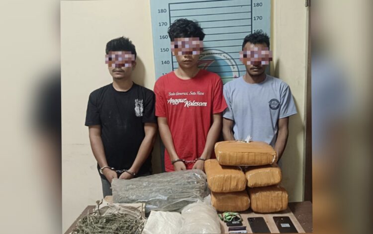 Polisi Gerebek Rumah di Aceh Tenggara, Sita 11,35 Kg Ganja