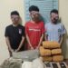 Polisi Gerebek Rumah di Aceh Tenggara, Sita 11,35 Kg Ganja