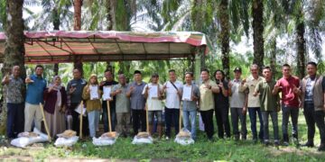 Pemkab Aceh Timur Gandeng Satgas PUPL Pulihkan Kebun Sawit Petani