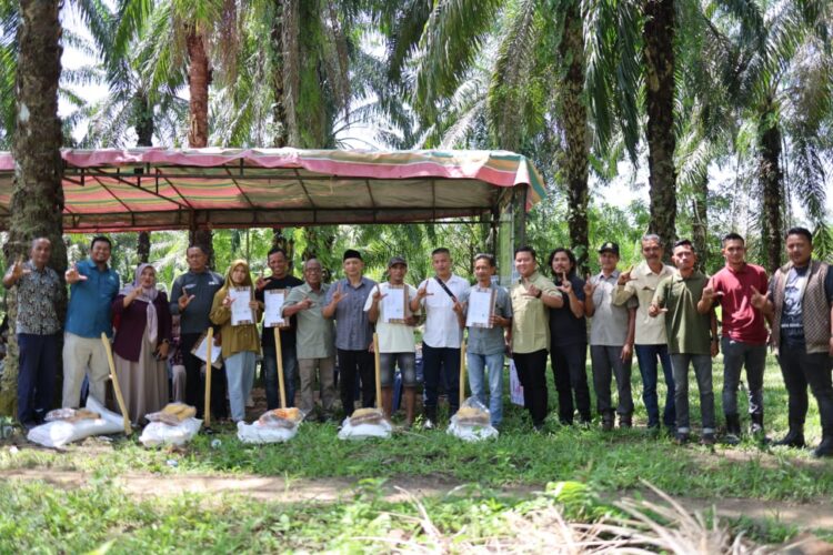 Pemkab Aceh Timur Gandeng Satgas PUPL Pulihkan Kebun Sawit Petani