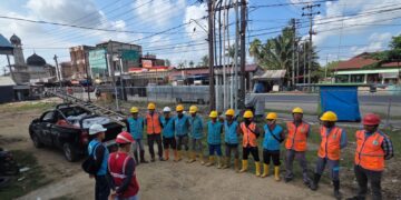 Cegah Padam Karena Pohon dan Tupai, PLN ULP Idi Genjot Pemeliharaan di Indra Makmur