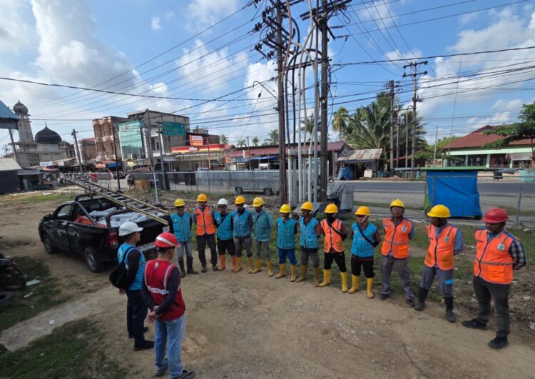 Cegah Padam Karena Pohon dan Tupai, PLN ULP Idi Genjot Pemeliharaan di Indra Makmur