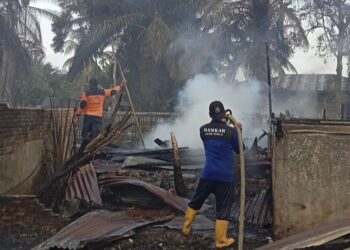 3 Dapur Penyulingan dan 1 Rumah Warga Terbakar di Ranto Peureulak, BPBD Kerahkan 6 Armada