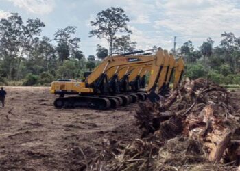 Dugaan Mark Up Harga Cetak Sawah di Simeulue, Anggaran Rp4,2 M Disorot ARPA