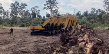 Dugaan Mark Up Harga Cetak Sawah di Simeulue, Anggaran Rp4,2 M Disorot ARPA